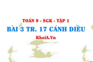 Bài 3 trang 17 Toán 9 Cánh diều Tập 1